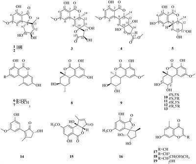 Polyketides with IDH1 R132h and PTP1B inhibitory activities from the desert-plant-derived fungus Alternaria sp. HM 134